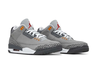 Jordan 3 Retro Cool Grey 2021 Sneakers - Authentic | Designer Kicks
